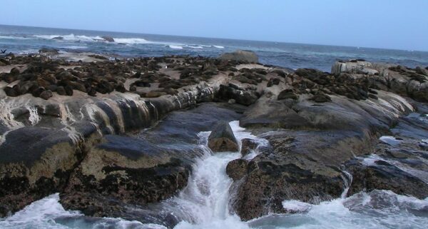 Timeless Africa: A Journey of Wonders