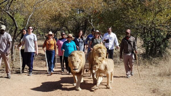 Timeless Africa: A Journey of Wonders