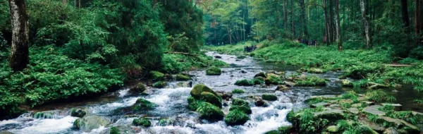 Mysterious Beauty of Avatar - Xiamen