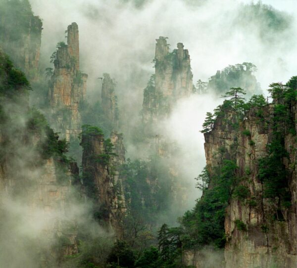 Mysterious Beauty of Avatar - Xiamen