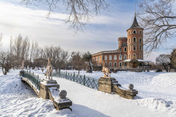 Snowflakes of Harbin