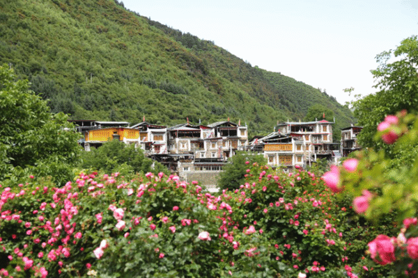 Journey Beyond: Jiuzhaigou Valleys & Chengdu Charms