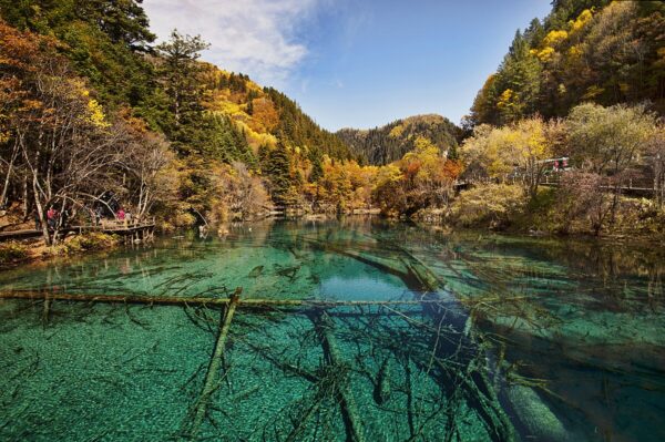 Journey Beyond: Jiuzhaigou Valleys & Chengdu Charms