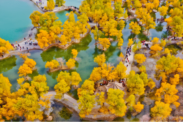 Frozen Frontiers: Explore Southern Xinjiang in Winter