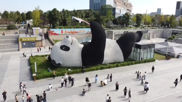 Captivating Charms of China: Chengdu & Chongqing Experience