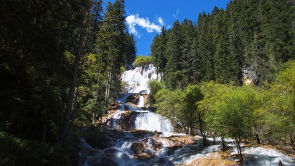 Wondrous China: Chengdu & Jiuzhaigou Experience