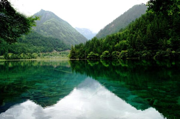Wondrous China: Chengdu & Jiuzhaigou Experience